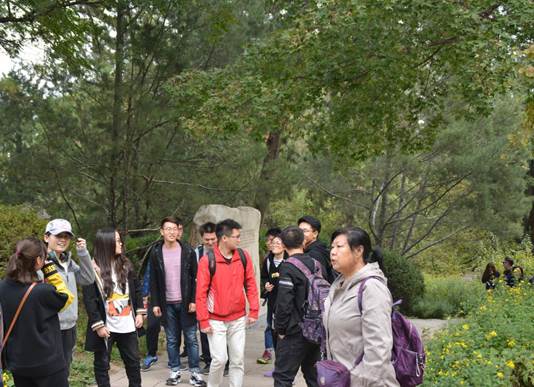 clip_image006.jpg DSC_8492