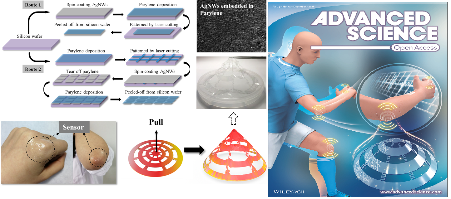 20181227信息学院胡又凡研究员课题组在柔性可变形三维传感器研究中取得重要进展01.png 20181227信息学院胡又凡研究员课题组在柔性可变形三维传感器研究中取得重要进展01.png